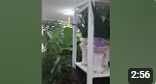 햇살처럼 난방기 후기 영상 ＃8 꽃집.jpg